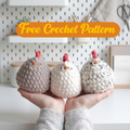 Chicken Crochet Pattern, Kawaii Hen Plush Amigurumi PDF Free Gift