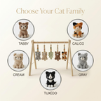 Custom Cat Baby Gym, Wooden Play Gym with Crochet Kitten Toys, Montessori Activity Gym, Cat Nursery Decor, Personalized Baby Shower Gift