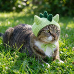 Dinosaur Cat Hat Crochet Pattern PDF, Dino Pet Hat Pattern, Cat Costume Crochet Tutorial