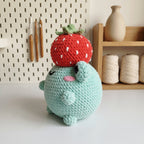 Frog Crochet Pattern, Cute Frog Wearing Strawberry Hat Amigurumi Tutorial