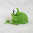 Frog Pet Hat Crochet Pattern PDF, Cute Frog Cat Hat Pattern, Crochet Pet Costume Tutorial