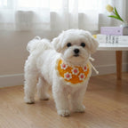 Crochet Cat Collar Pattern PDF, Sunny Daisy Pet Bib Tutorial, Cute Floral Cat Accessory DIY Gift