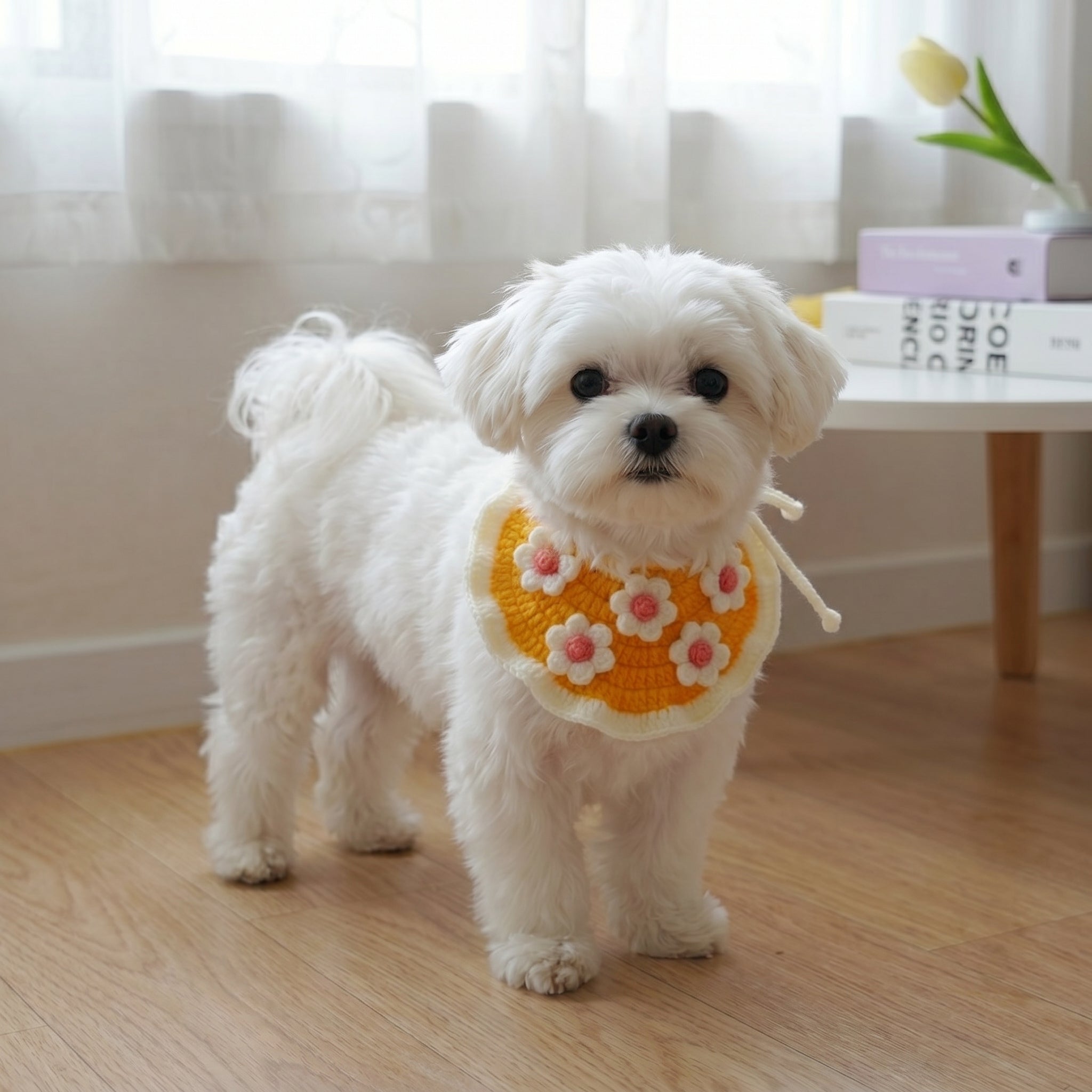 Crochet Cat Collar Pattern PDF, Sunny Daisy Pet Bib Tutorial, Cute Floral Cat Accessory DIY Gift