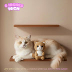 A fluffy cream and white cat lies on a wooden shelf next to a small crocheted cat toy. A second wooden shelf is mounted above, and pink text in the top left reads '6 INCHES 16CM'.