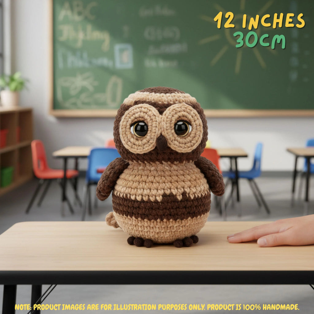 A crocheted owl toy sits on a wooden desk in a blurred classroom setting, with a human hand visible at the right edge. Text overlays read '12 INCHES 30CM' and note that product images are for illustration purposes only.