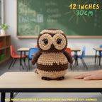 A crocheted owl toy sits on a wooden desk in a blurred classroom setting, with a human hand visible at the right edge. Text overlays read '12 INCHES 30CM' and note that product images are for illustration purposes only.