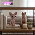 A crocheted pink cat figurine sits on books on a wooden shelf, next to a real cat in a home interior setting. The image includes size text '6 INCHES 16CM' in the top left and a disclaimer at the bottom.