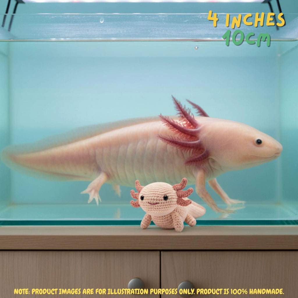A small crocheted axolotl toy placed in front of a real axolotl in a glass aquarium, with text reading '4 INCHES 10CM' and a note saying product images are for illustration purposes only.