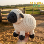 A crocheted plush sheep toy held in a person's hand outdoors in a farm setting at sunset. The toy has a cream-colored body, a black face and ears, and black hooves.