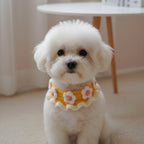 Dog Collar Crochet Pattern, Daisy Flower Pet Collar PDF Tutorial, Cute Puppy Accessory Handmade Gift