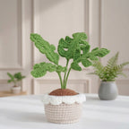 Crochet Monstera Plant Pattern, Cute Potted Houseplant PDF Free Gift