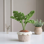 Crochet Monstera Plant Pattern, Cute Potted Houseplant PDF Free Gift