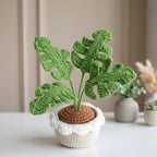 Crochet Monstera Plant Pattern, Cute Potted Houseplant PDF Free Gift