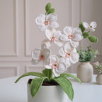 Crochet Orchid Flower Pattern, Handmade Floral Bouquet PDF Free Gift