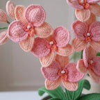 Crochet Orchid Flower Pattern, Handmade Floral Bouquet PDF Free Gift