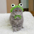 Frog Pet Hat Crochet Pattern PDF, Cute Frog Cat Hat Pattern, Crochet Pet Costume Tutorial
