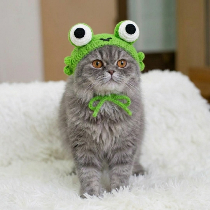 Frog Pet Hat Crochet Pattern PDF, Cute Frog Cat Hat Pattern, Crochet Pet Costume Tutorial